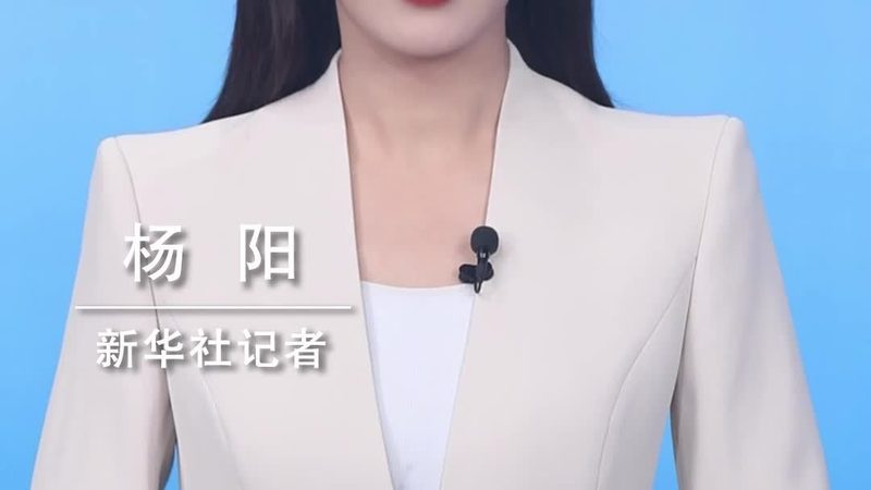 软件测试用例设计：方法与关键要素解析